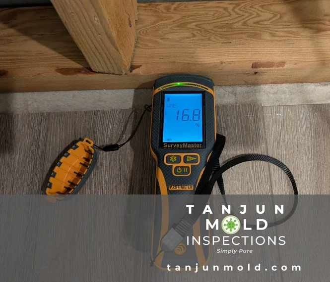 Tanjun Mold Inspections clinic interior